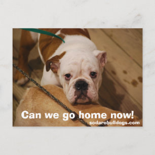 Cartão Postal Podemos ir para casa agora!