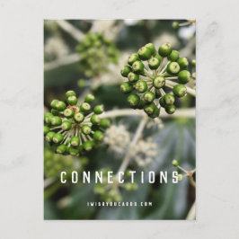 Cartão Postal Pods de Semente - Cartão-postal de Conexões de Man