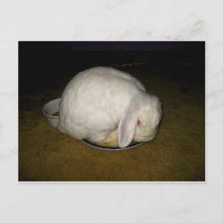 Cartão Postal poe no prato