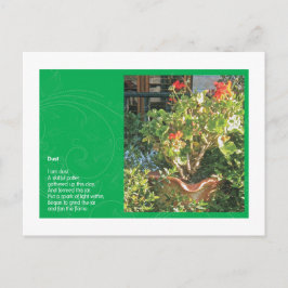 Cartão Postal Poeira