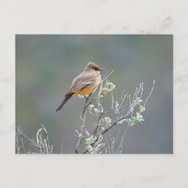 Cartão Postal Poeira-de-Say