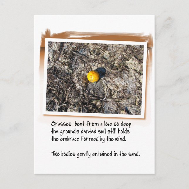 Cartão Postal Poema do Amor e Laranja Atingido (Frente)