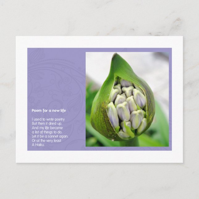 Cartão Postal Poema por uma vida nova (Frente)