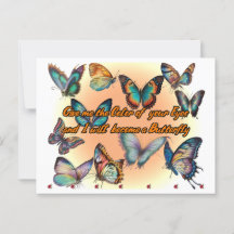 Poesia e Borboletas em