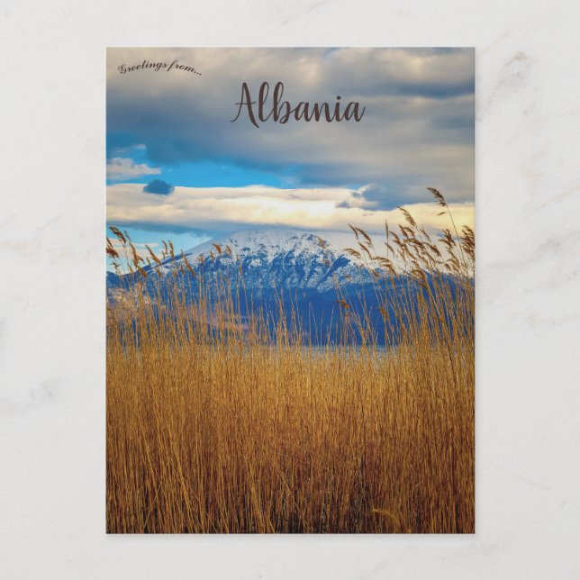 Cartão Postal Pogradec Korçë (Frente)