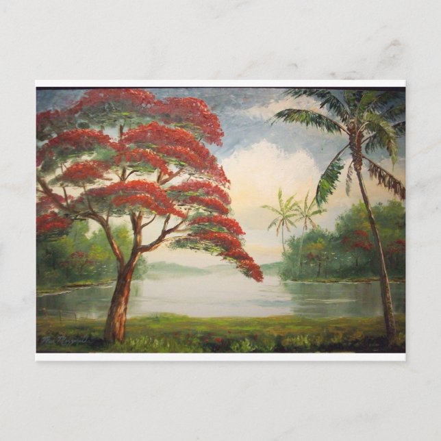 Cartão Postal Poinciana Real (Árvore Flamboyant) (Frente)