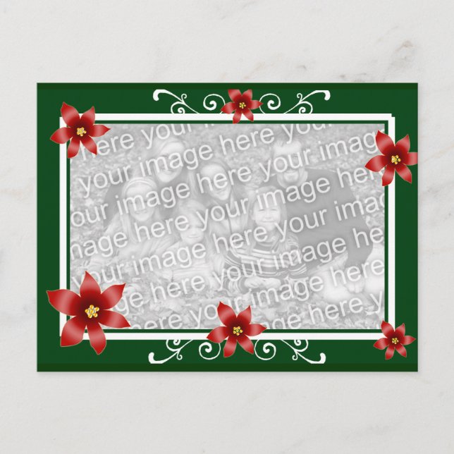Cartão Postal Poinsettia Swirl Frame (Frente)