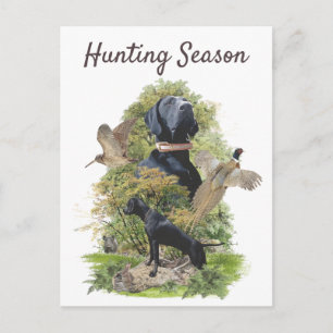 Cartão Postal Pointer Alemão de Pelo Curto (GSP)      