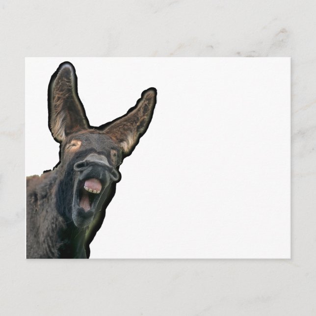 Cartão Postal Poitou-Esel (Frente)
