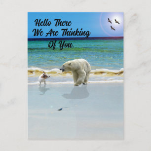 Cartão Postal Polar Bear Conhece Jack Russell, Olá Cartão-postal