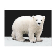 Polar Bear Cub Painting - Arte Original