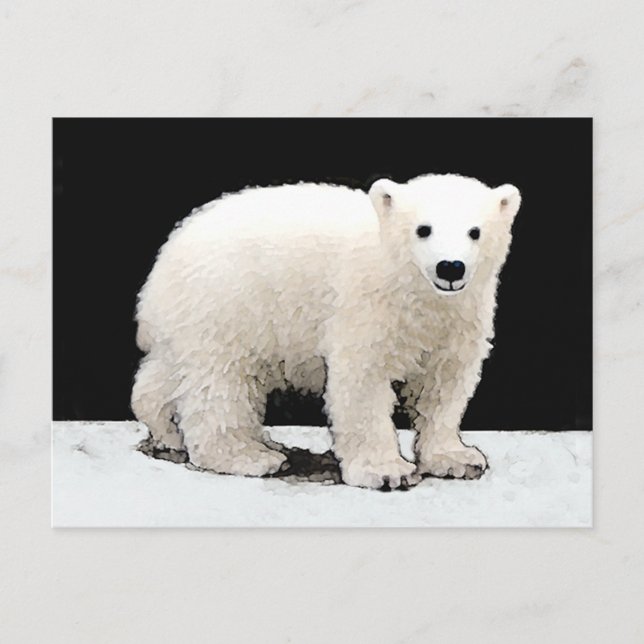 Cartão Postal Polar Bear Cub Painting - Arte Original (Frente)