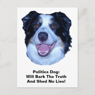 Cartão Postal Policial Border Collie Latido The Truth Postcard
