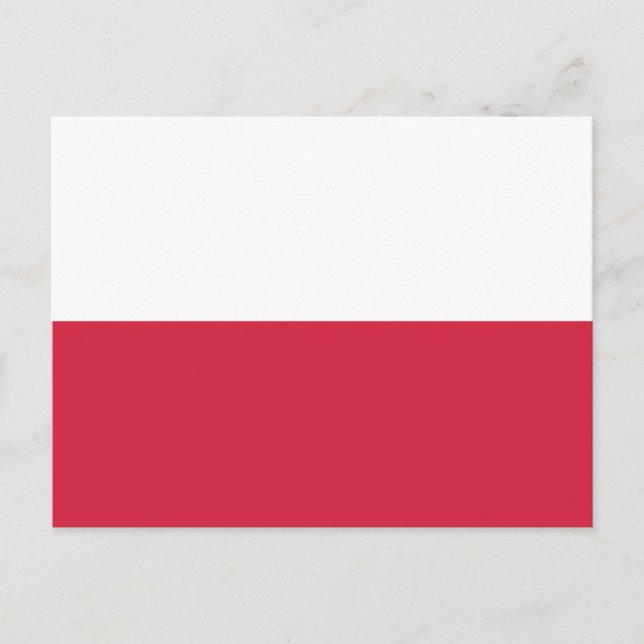 Cartão Postal Polish Flag (Frente)