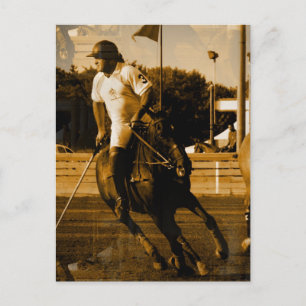 Cartão postal Polo