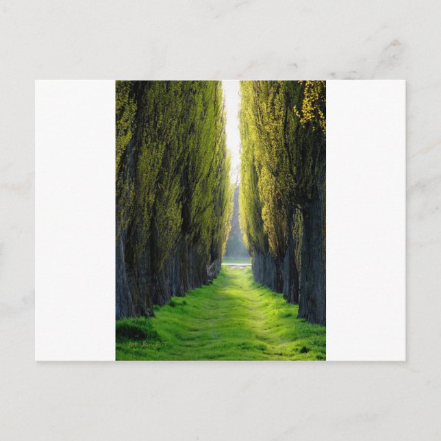 Cartão Postal POLÔNIA ALEJAWroclaw (Frente)