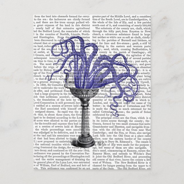 Cartão Postal Polvo na Pia (Frente)