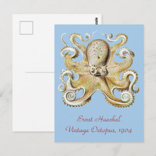 Cartão Postal Polvo Vintage de Ernst Haeckel Vida Marinha Náutic