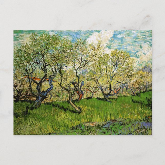 Cartão Postal Pomar em Blossom Amsterdam Van Gogh de Arte Bela (Frente)