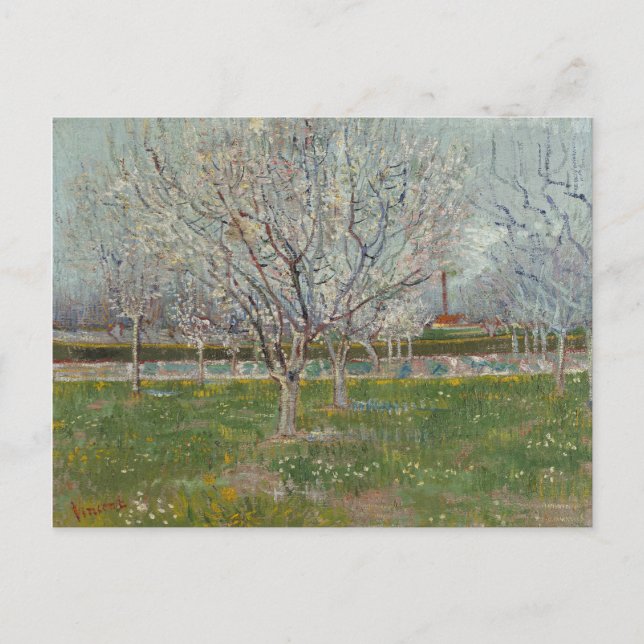 Cartão Postal Pomar em Blossom Plum Trees por Vincent Van Gogh (Frente)