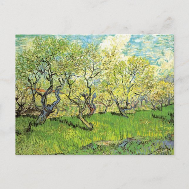 Cartão Postal Pomar em Blossom por Vincent van Gogh (Frente)