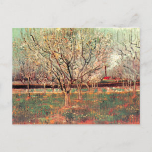 Cartão Postal Pomar em Flor, Ameixeiras por Vincent van Gogh