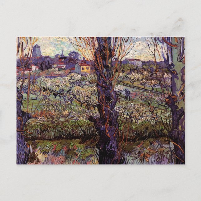 Cartão Postal Pomar em Flor, Arles por Vincent van Gogh (Frente)