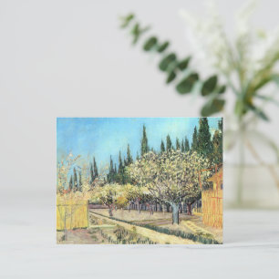 Cartão Postal Pomar em Flor, Ladeado por Ciprestes de Van Gogh