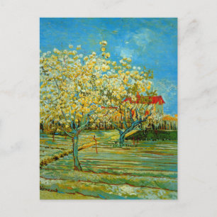 Cartão Postal Pomar em Flor por Vincent van Gogh