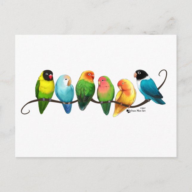 Cartão Postal Pombinhos (Frente)
