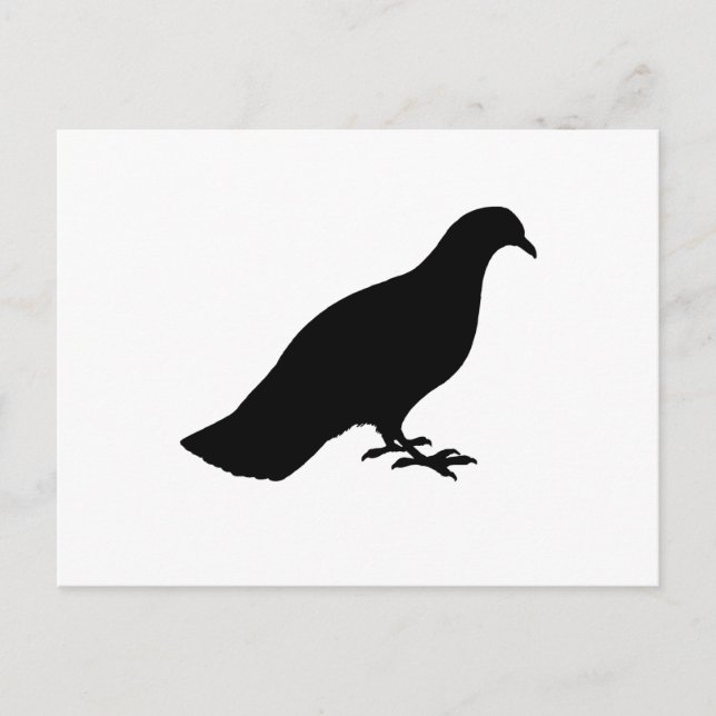 Cartão Postal Pombo (Frente)