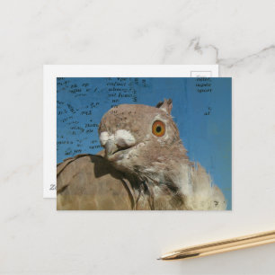 Cartão Postal Pombo chamado Sr. Pombo Palavras Abstratas