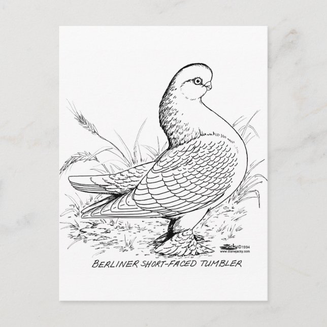 Cartão Postal Pombo de Berlim Preto e Branco (Frente)