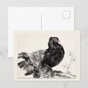 Cartão Postal Pombo Fantasiado Indiano