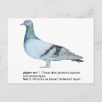 Pombo por NuancesdePigeon T-shirts