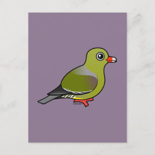 Cartão Postal Pombo Verde Africano