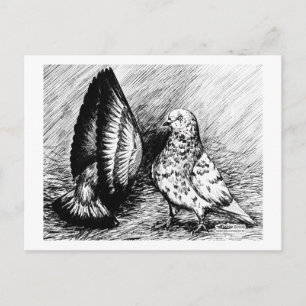 Cartão Postal Pombos do cilindro de salor