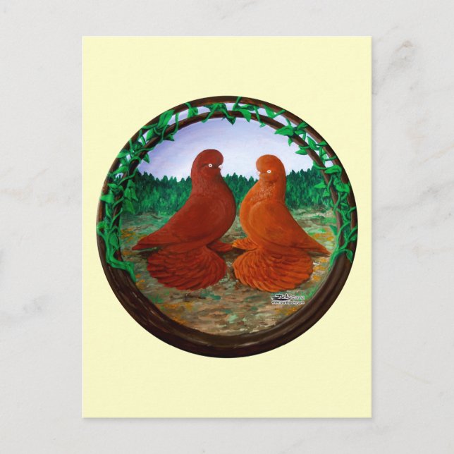 Cartão Postal Pombos-Tumbler Mufados2 (Frente)