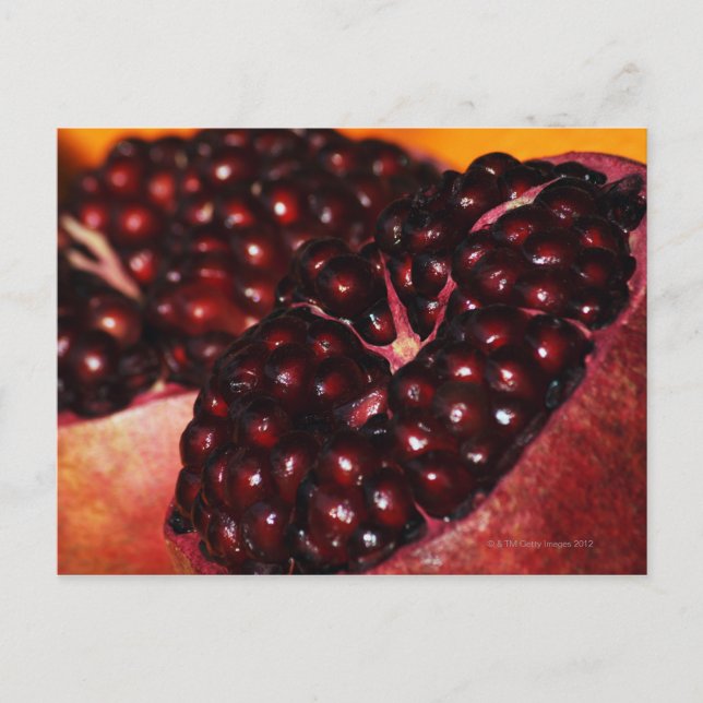 Cartão Postal Pomegranato (Frente)