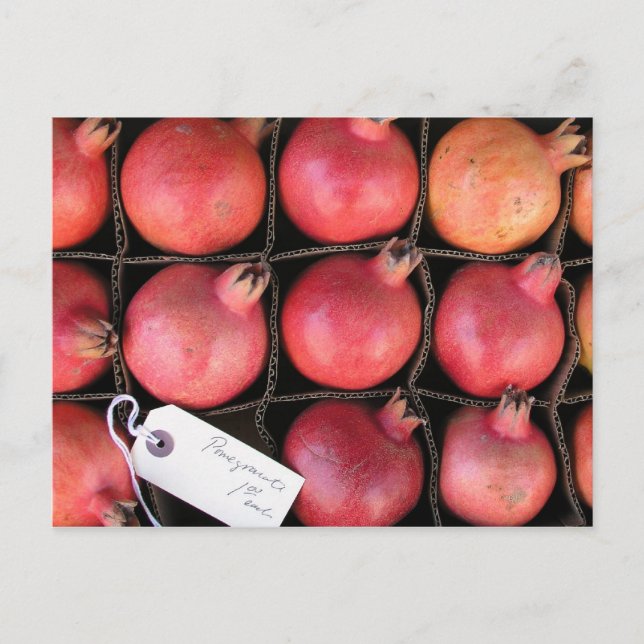 Cartão Postal Pomegranato (Frente)