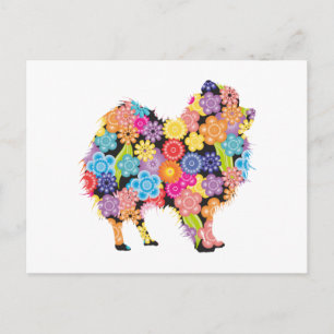 Cartão Postal Pomerânia