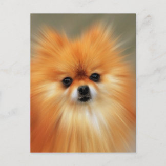Cartão Postal Pomerânia