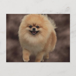 Cartão Postal Pomerânia