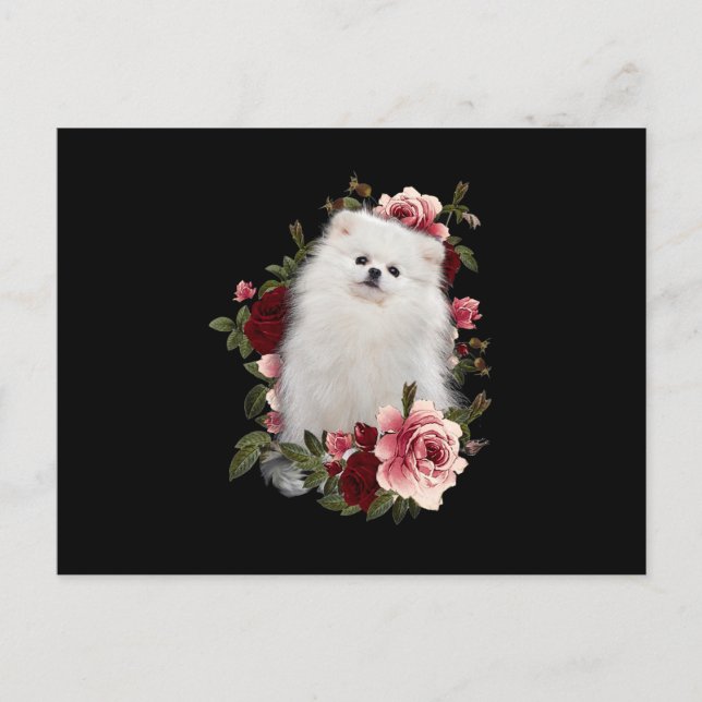 Cartão Postal Pomerânia com Flor (Frente)