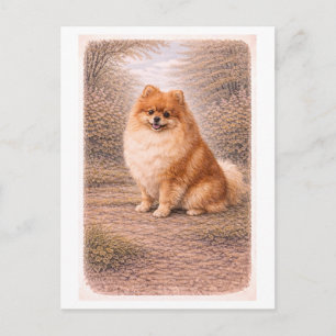 Cartão Postal Pomerânia de estilo retrô
