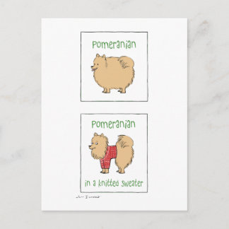 Cartão Postal Pomerânia em um suéter Knit