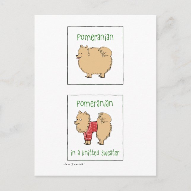 Cartão Postal Pomerânia em um suéter Knit (Frente)
