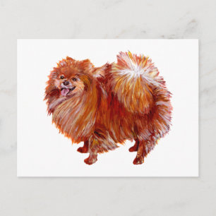 Cartão Postal Pomerânia Vermelha