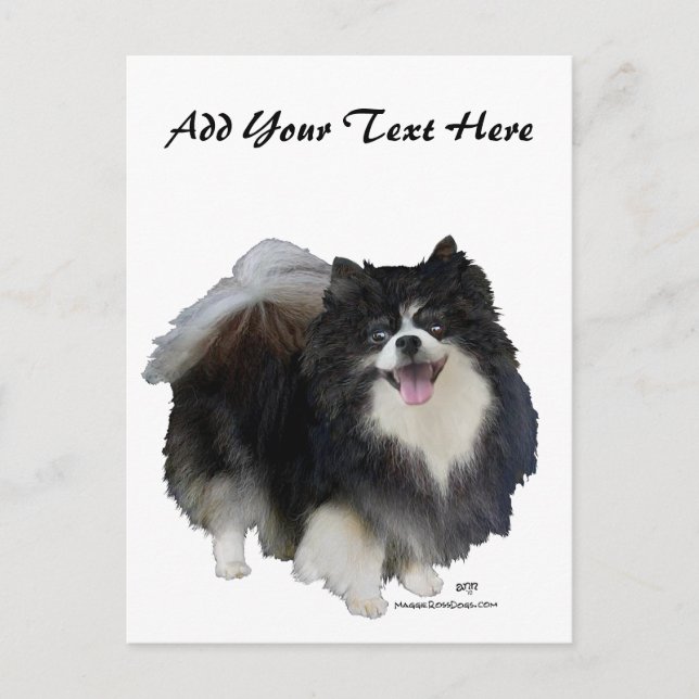 Cartão Postal Pomerano Preto (Frente)