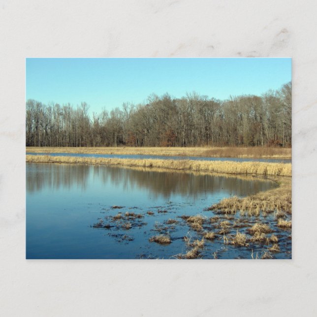 Cartão Postal Pond (Frente)